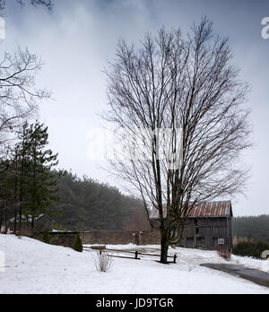 All'aperto con fienile circondato da neve e alberi, inverno, Ontario, Canada ontario canada freddo inverno 2017 snow Foto Stock