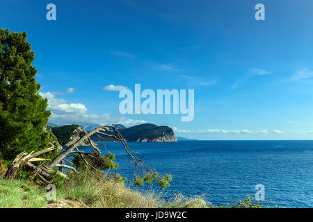 Paesaggio panoramico in Montenegro. Vista fantastica della Petrovac town bay. Balcani, mare adriatico, Europa Foto Stock