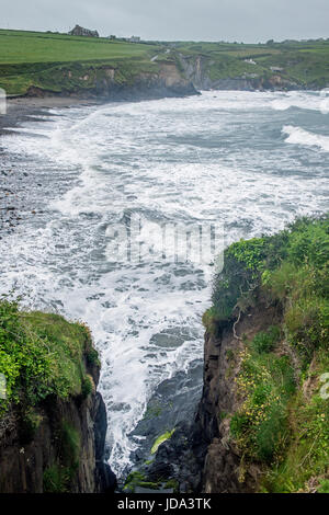 Spiaggia Aberreiddy su un ventoso giorno di estate, Pembrokeshire Coast Foto Stock