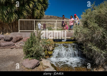 I visitatori a una piccola cascata a molla Rogers, geotermica primavera calda oasi, Northshore Road, Lake Mead National Recreation Area, Nevada, STATI UNITI D'AMERICA Foto Stock