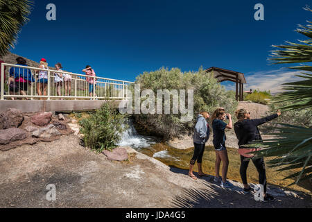 I visitatori a una piccola cascata a molla Rogers, geotermica primavera calda oasi, Northshore Road, Lake Mead National Recreation Area, Nevada, STATI UNITI D'AMERICA Foto Stock