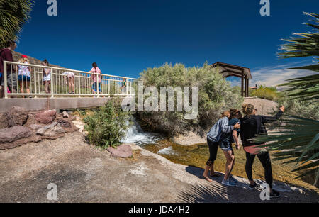 I visitatori a una piccola cascata a molla Rogers, geotermica primavera calda oasi, Northshore Road, Lake Mead National Recreation Area, Nevada, STATI UNITI D'AMERICA Foto Stock