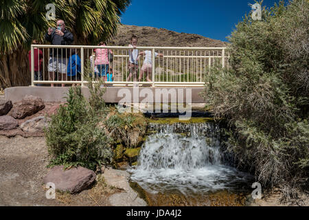 I visitatori a una piccola cascata a molla Rogers, geotermica primavera calda oasi, Northshore Road, Lake Mead National Recreation Area, Nevada, STATI UNITI D'AMERICA Foto Stock