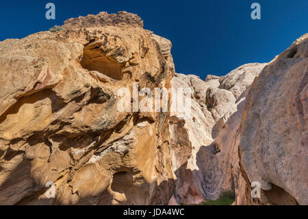 Gorge nell'area di Whitney Pocket, rocce di arenaria Jurassic, Gold Butte National Monument, Mojave Desert, Nevada, USA Foto Stock