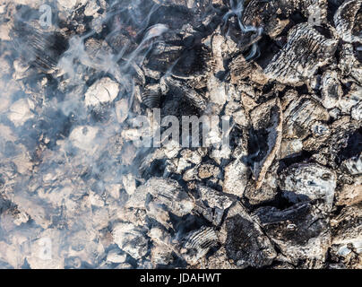 Braci fumante e chiudere fino come sfondo Foto Stock