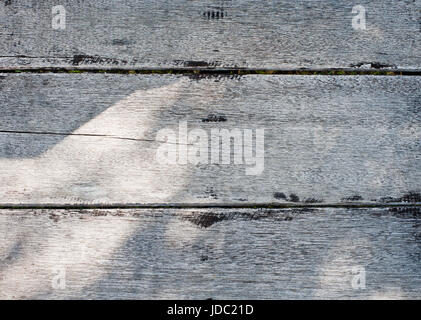 Abstract texture di legno pannelli di legno naturale sullo sfondo Foto Stock