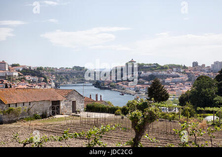 Vedute della città di Porto e sul fiume Douro da Grahams cantine di Porto, Portogallo Foto Stock