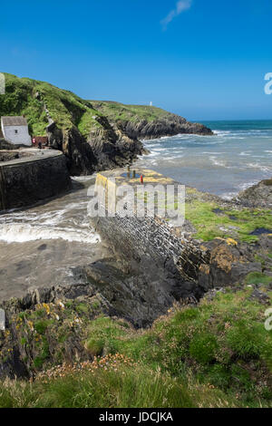 Porthgain zona porto in estate Il Pembrokeshire Coast National Park, Wales, Regno Unito Foto Stock