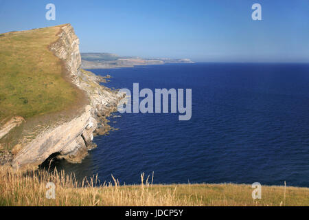 Guardando ad est da Worbarrow Tout, lungo la Gold verso il basso e Gad Cliff, Isle of Purbeck, Dorset: REGNO UNITO: St Aldhelm (St Alban's) in testa la distanza Foto Stock