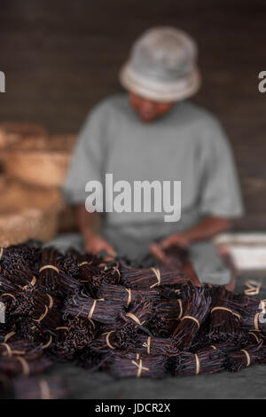 ANTALAHA, MADAGASCAR, 16 agosto: una donna malgascia preparazione di vaniglia in un capannone nei pressi di Antalaha, Madagascar il 16 agosto, 2016 Foto Stock