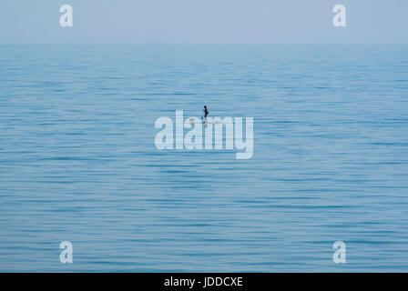 Un stand up paddle boarder e cane da solo nel mare di Lyme Regis, Dorset, England, Regno Unito Foto Stock