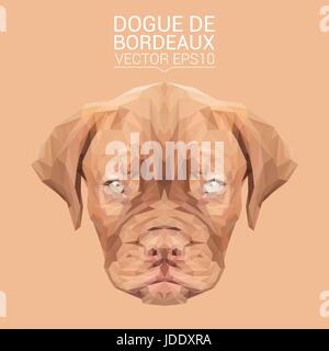 Dogue de Bordeaux cane bassa animale poli design. Triangolo illustrazione vettoriale. Illustrazione Vettoriale