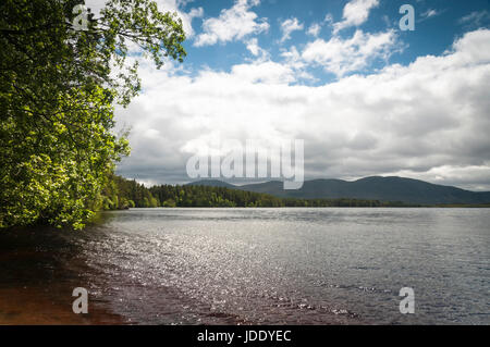 Loch Garten nel parco nazionale di Cairngorms, Badenoch & Strathspey, Scozia Foto Stock