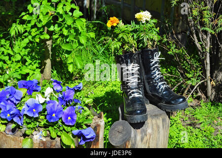 Fiori decorativi, piantato in vecchie scarpe, nel giardino di Tauride nella città di San Pietroburgo. Foto Stock