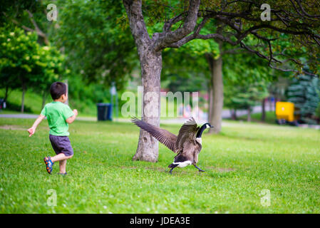 Centro Natura Park a Laval Québec Canada Foto Stock