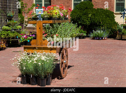 Questa foto è stata scattata a una formale giardino botanico vicino a San Francisco, California. La molla era arrivato, e i fiori sono in fiore. Questa immagine dispone di un Foto Stock