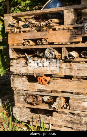 Hotel di insetto a Pickering Farm comunità giardino in Issaquah, Washington, Stati Uniti d'America. Un insetto hotel è una struttura artificiale creato dalla materia naturale Foto Stock