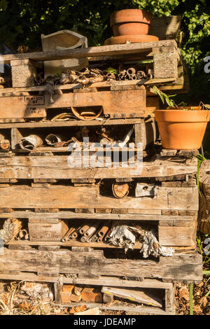 Hotel di insetto a Pickering Farm comunità giardino in Issaquah, Washington, Stati Uniti d'America. Un insetto hotel è una struttura artificiale creato dalla materia naturale Foto Stock