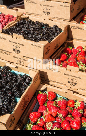 Fragole, more e lamponi per la vendita in un mercato degli agricoltori in Issaquah, Washington, Stati Uniti d'America Foto Stock