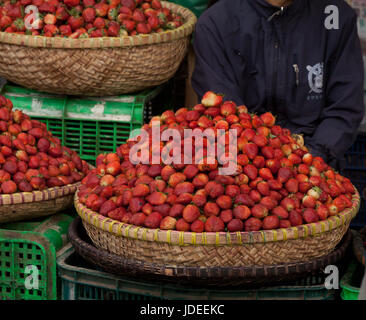 Cesto di Fragole fresche su un mercato locale di Dalat, Vietnam del sud-est asiatico Foto Stock