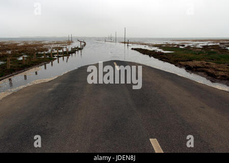 Marea sulla causeway al Santo Isola di Lindisfarne, Northumberland Coast, Northeast England, Regno Unito Foto Stock