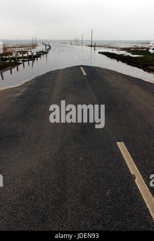 Marea sulla causeway al Santo Isola di Lindisfarne, Northumberland Coast, Northeast England, Regno Unito Foto Stock