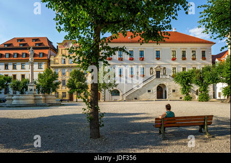 Zieglerhaus, Marienbrunnen, aristocratica town house Thurn- e Taxishaus, Municipio, Karlsplatz, Neuburg sul Danubio Foto Stock