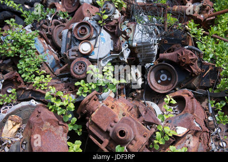 Arrugginimento rottami di metallo da vecchie auto e attrezzature a junkyard. Foto Stock