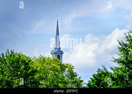 Parte superiore del campanile in alberi parte sud orientale dello stato;paese campanile. Foto Stock