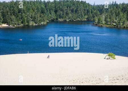 Le dune di sabbia sono l'attrazione principale di Jessie M Honeyman Memorial State Park. Firenze, Oregon Foto Stock