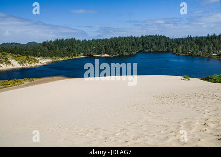 Le dune di sabbia sono l'attrazione principale di Jessie M Honeyman Memorial State Park. Firenze, Oregon Foto Stock