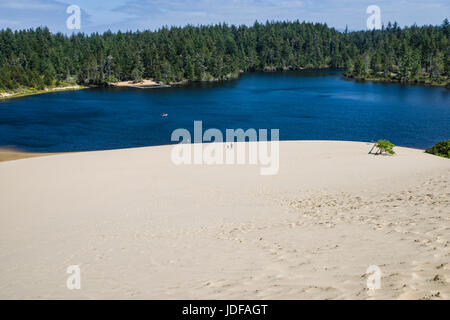 Le dune di sabbia sono l'attrazione principale di Jessie M Honeyman Memorial State Park. Firenze, Oregon Foto Stock