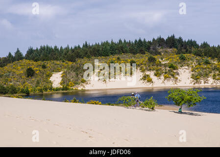 Le dune di sabbia sono l'attrazione principale di Jessie M Honeyman Memorial State Park. Firenze, Oregon Foto Stock