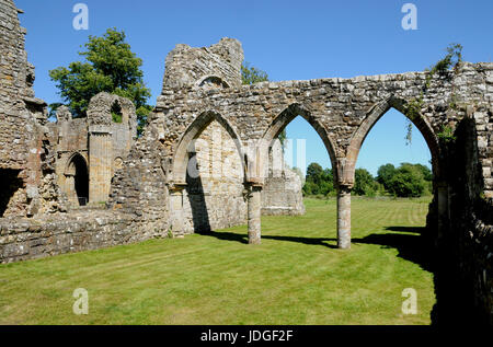 Le rovine di Bayham Abbey in Kent e Sussex ast frontiera nel sud dell'Inghilterra. L'Abbazia fu uno dei tanti che è stato sciolto dal Re Enrico V111. Foto Stock