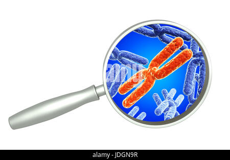 Lente di ingrandimento e di rosso e di blu il cromosoma X. Isolato su sfondo bianco. 3D render Foto Stock