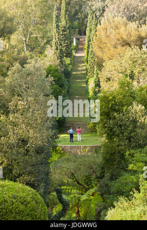 Francia, Var (83), Le Rayol-Canadel-sur-Mer, Domaine du Rayol :, le grand escalier (utilizzo presse et édition livre uniquement avec menzionare obligat Foto Stock