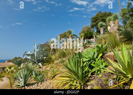 Francia, Var (83), Le Rayol-Canadel-sur-Mer, Domaine du Rayol : Le jardin d'Amérique aride (utilizzo presse et édition livre uniquement avec menzionare Foto Stock