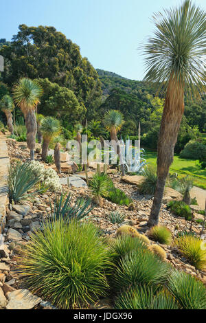 Francia, Var (83), Le Rayol-Canadel-sur-Mer, Domaine du Rayol : Le jardin d'Amérique aride (utilizzo presse et édition livre uniquement avec menzionare Foto Stock