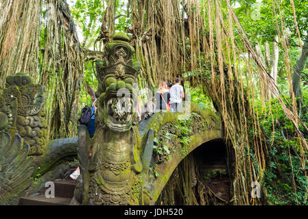 Bali, Indonesia - 2 Maggio 2017: scimmie macaco sul ponte del drago a Ubud sacro Santuario della Foresta delle Scimmie, una riserva naturale e il tempio Hindu in U Foto Stock