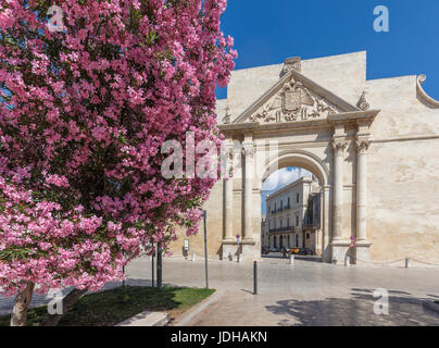 Porta Napoli a Lecce 1 Stock Photo Porta Napoli a Lecce Foto Stock