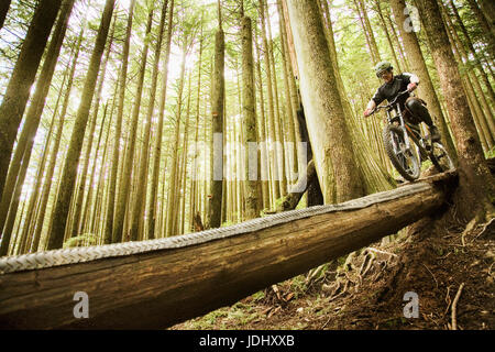 Uomo in mountain bike sul sentiero. North Vancouver, BC Canada Foto Stock