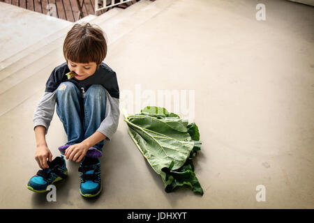 Ragazzo giovane masticare il rabarbaro e mettendo le sue scarpe seduto accanto a una grande foglia di rabarbaro Foto Stock