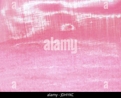 Abstract sfocata tono rosa sullo sfondo delle luci. Foto Stock