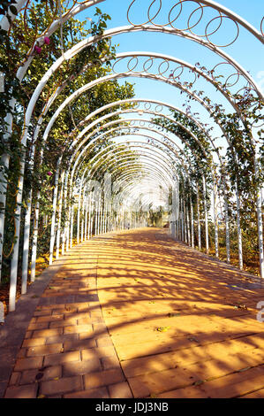 Corridoio con un metallo bianco giardino telaio Foto Stock