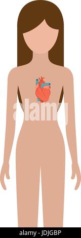 Silhouette colorato persona di sesso femminile con il cuore del sistema corpo umano Illustrazione Vettoriale