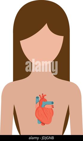 Silhouette colorato a metà femmina del corpo persona con il cuore del sistema Illustrazione Vettoriale