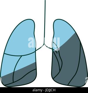 Il colore blu di ombreggiatura disegno a mano il contorno del sistema respiratorio Illustrazione Vettoriale