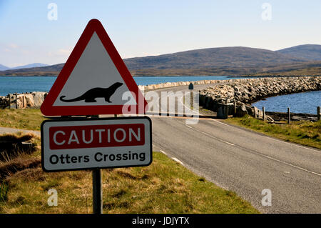 Lontre attraversando un cartello di segnalazione sull'Causeway tra le isole di Berneray (Bearnaraigh) e North Uist nelle Ebridi Esterne,Isole scozzesi. Regno Unito Foto Stock