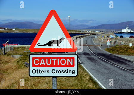 Lontre attraversando un cartello di segnalazione sull'Causeway tra le isole di Berneray (Bearnaraigh) e North Uist nelle Ebridi Esterne,Isole scozzesi. Regno Unito Foto Stock