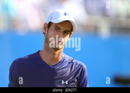 La Gran Bretagna di Andy Murray reagisce durante la sua partita contro l'Australia Giordania Thompson durante il giorno due del 2017 AEGON Championships presso la Queen's Club di Londra. Foto Stock